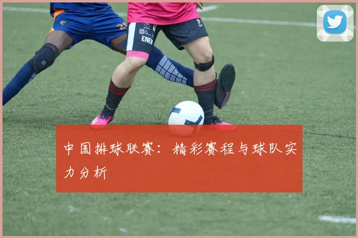 中国排球联赛：精彩赛程与球队实力分析