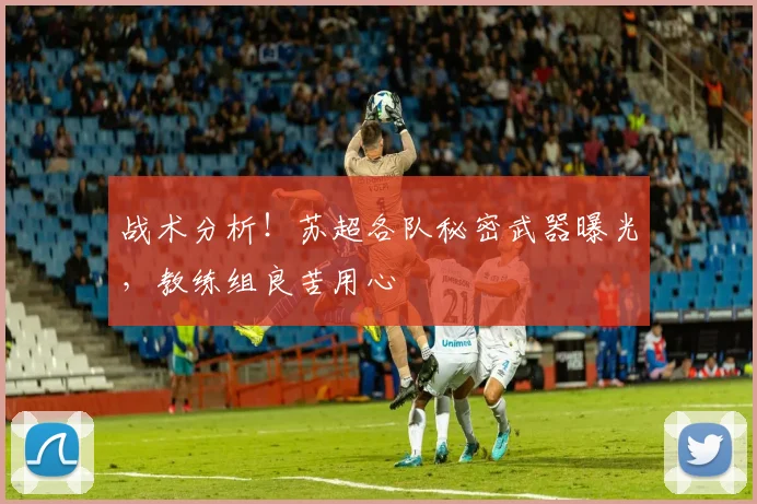 战术分析！苏超各队秘密武器曝光，教练组良苦用心